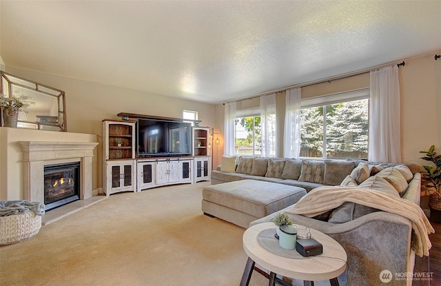 15202 NE 102nd Way, Vancouver, WA 98685 - carpeted living room with a glass covered fireplace and a textured ceiling