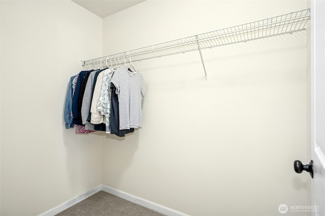 4915 NE 5th St, Renton, WA 98059 - walk in closet with carpet flooring