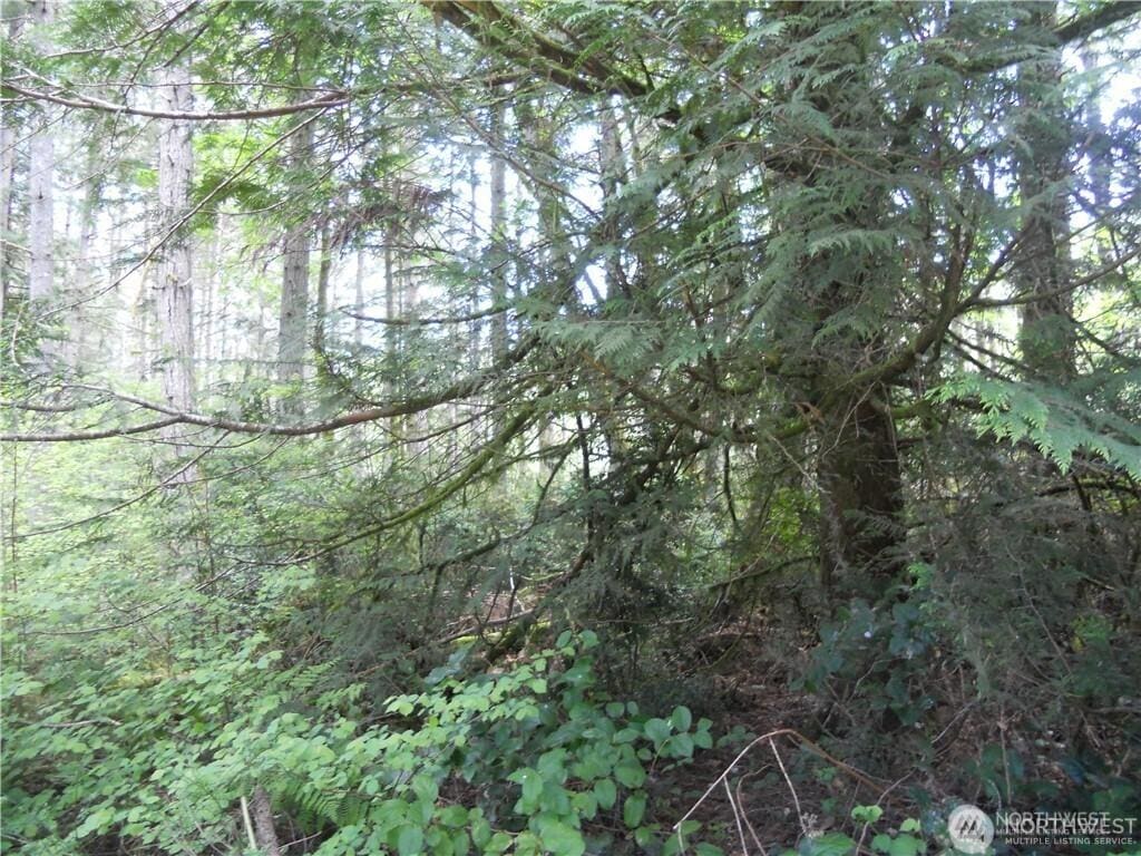 11511 Lake Josephine Ave, Anderson Island, WA 98303
