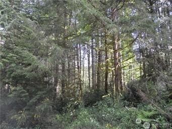 11511 Lake Josephine Ave, Anderson Island, WA 98303
