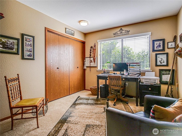 4425 65th St E, Tacoma, WA 98443 - office area with carpet flooring and a textured wall