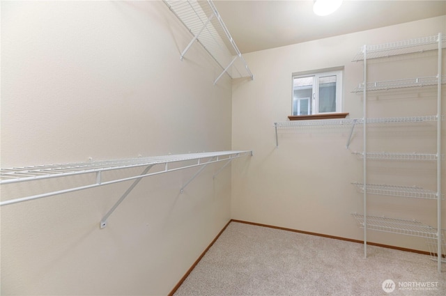 2413 106th Dr SE, Lake Stevens, WA 98258 - spacious closet featuring carpet floors