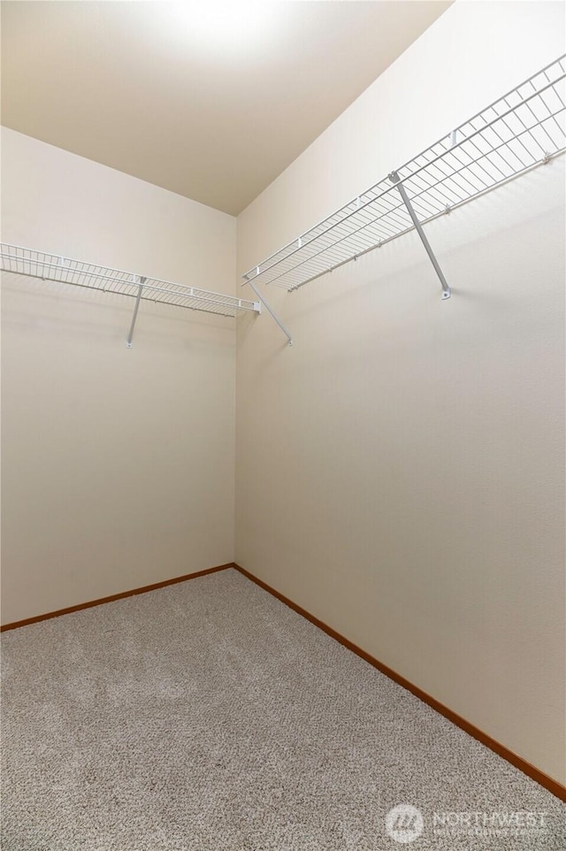 2413 106th Dr SE, Lake Stevens, WA 98258 - walk in closet with carpet floors