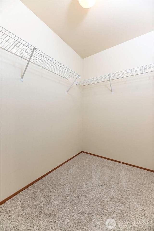 2413 106th Dr SE, Lake Stevens, WA 98258 - walk in closet featuring carpet floors