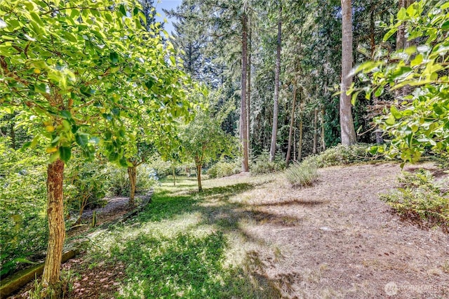 11 Bishop Hill Rd, Chimacum, WA 98325 - photo 34