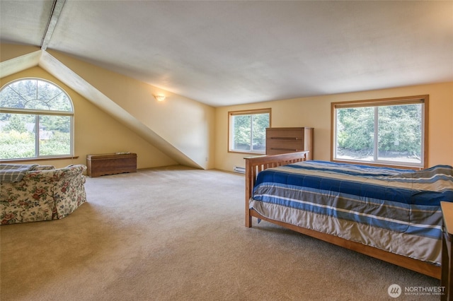 1211 E Market St, Aberdeen, WA 98520 - bedroom with carpet, vaulted ceiling, and baseboard heating