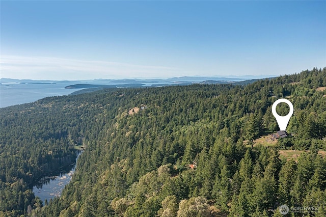 2000 Mount Dallas Rd, Friday Harbor, WA 98250 - bird's eye view of a forest and a mountainous background