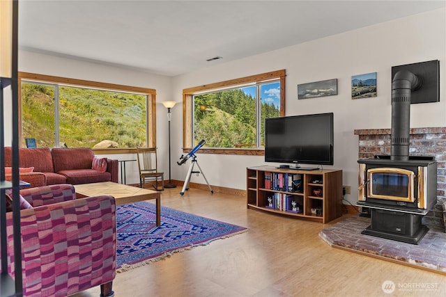 427 Rendezvous Rd, Winthrop, WA 98862 - living room featuring a wood stove and wood finished floors