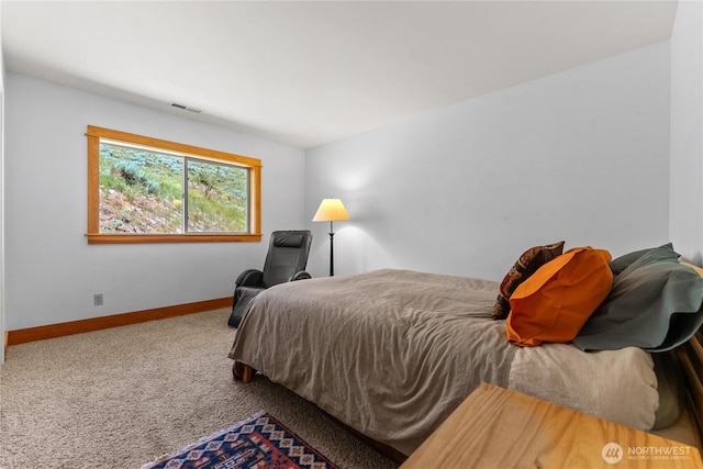 427 Rendezvous Rd, Winthrop, WA 98862 - bedroom with carpet and baseboards