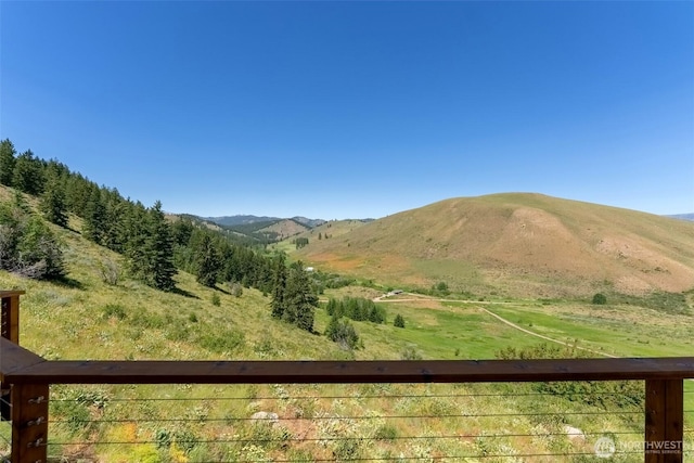 427 Rendezvous Rd, Winthrop, WA 98862 - mountain view