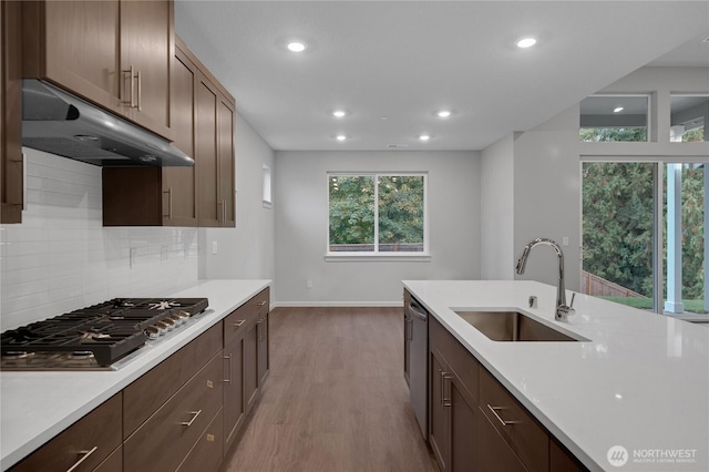 2605 S 7th Way, Ridgefield, WA 98642 - kitchen with a sink, appliances with stainless steel finishes, wood finished floors, under cabinet range hood, and light countertops