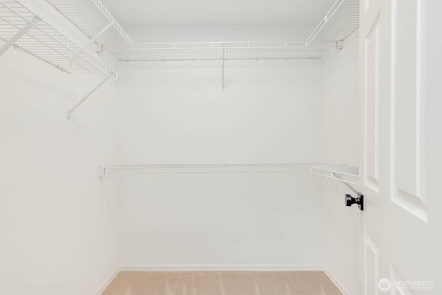 4213 249th Ct SE, Sammamish, WA 98029 - walk in closet with carpet floors