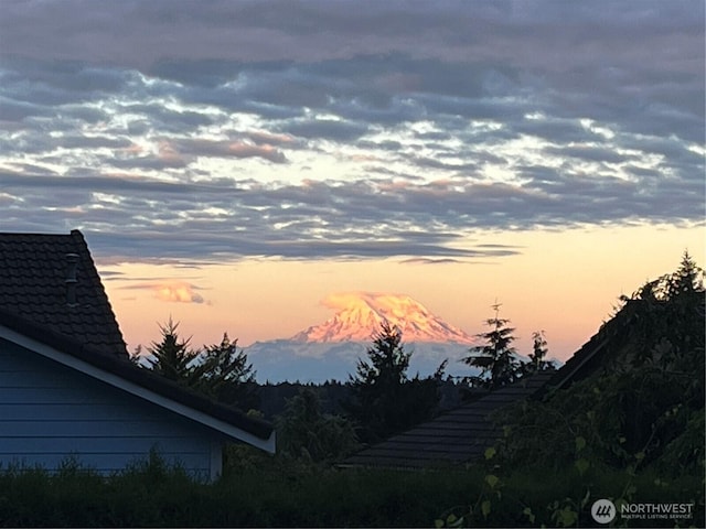 1910 Lenox Ct NW, Olympia, WA 98502 - mountain view