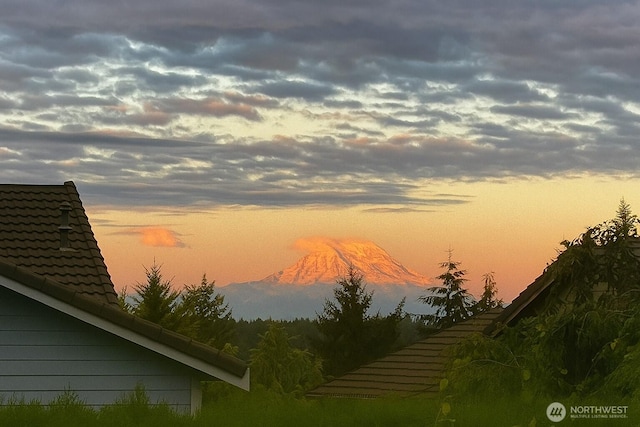 1910 Lenox Ct NW, Olympia, WA 98502 - view of mountain backdrop