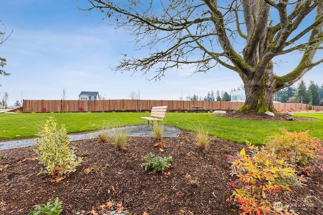1725 Noble Ave Unit 81, Snohomish, WA 98290 - view of yard