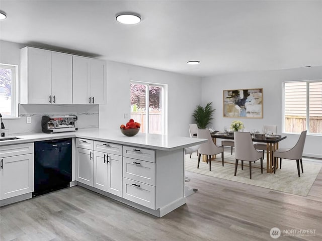 20112 14th Avenue Ct E, Spanaway, WA 98387 - kitchen featuring dishwasher, a peninsula, light countertops, and healthy amount of natural light