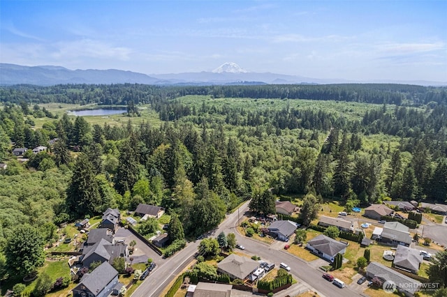 32794 Abrams Ave, Black Diamond, WA 98010 - photo 39