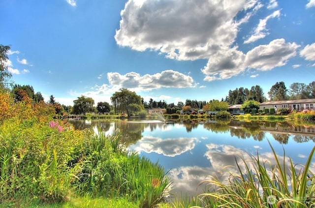 23704 9th Pl W, Bothell, WA 98021 - water view