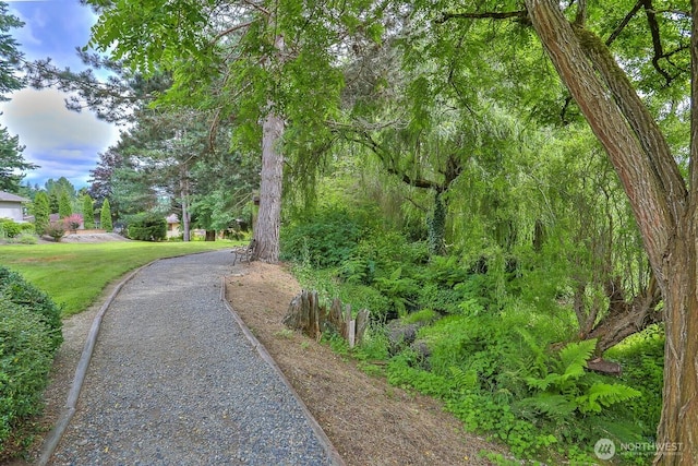 23704 9th Pl W, Bothell, WA 98021 - view of property's community featuring a yard