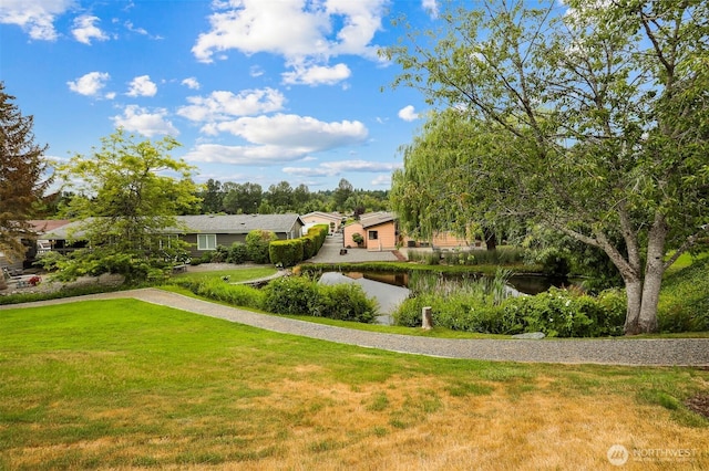 23704 9th Pl W, Bothell, WA 98021 - view of green lawn featuring a water view