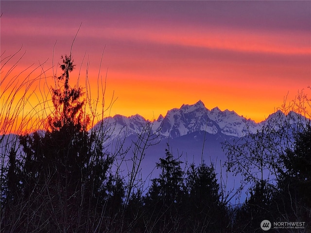 63 Red Cedar Ln, Port Ludlow, WA 98365 - view of mountain backdrop