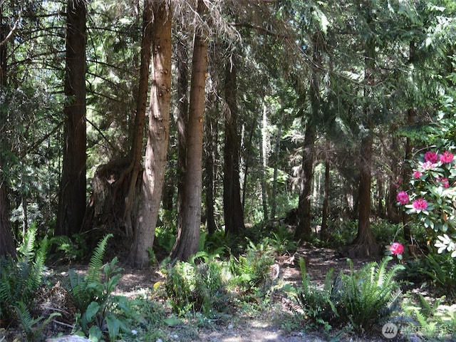 63 Red Cedar Ln, Port Ludlow, WA 98365 - view of woods