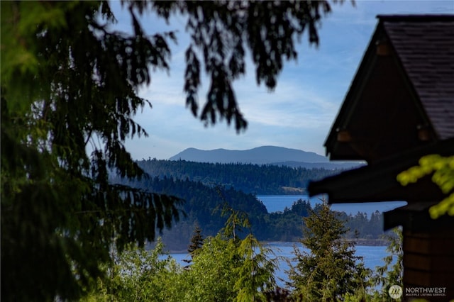 63 Red Cedar Ln, Port Ludlow, WA 98365 - water view featuring a mountain backdrop and a forest