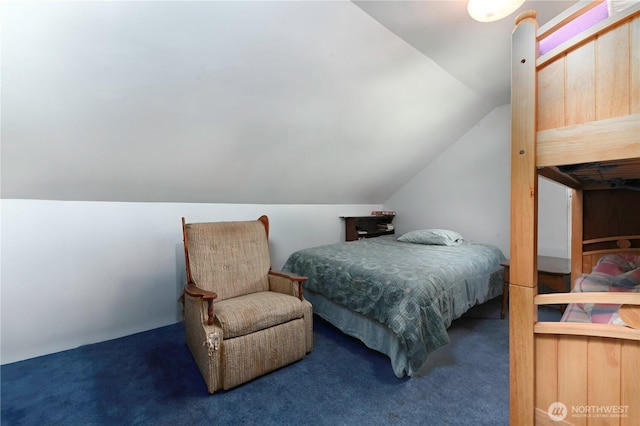 7029 Riverview Rd, Snohomish, WA 98290 - bedroom with carpet floors and lofted ceiling