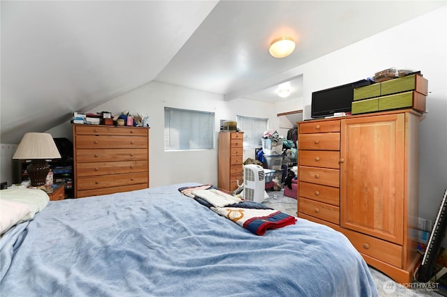 7029 Riverview Rd, Snohomish, WA 98290 - bedroom with lofted ceiling