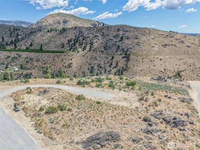 0 Glory View Ln Lot 2, Manson, WA 98831