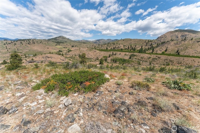 0 Glory View Ln Lot 3, Manson, WA 98831