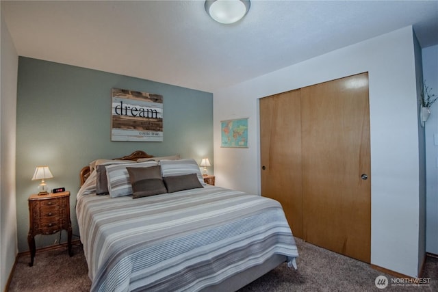 180N Mount Christie Dr, Hoodsport, WA 98548 - bedroom with carpet and a closet
