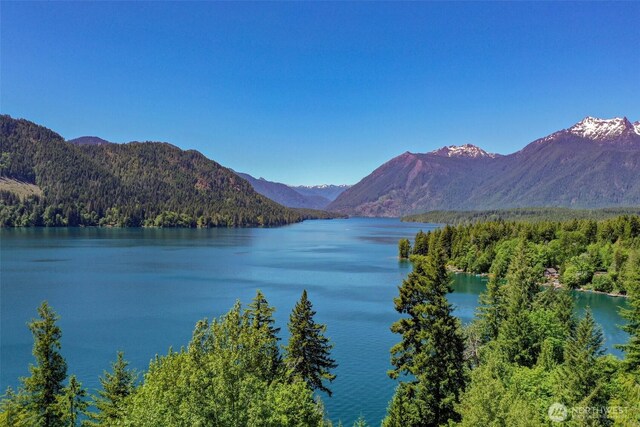 180N Mount Christie Dr, Hoodsport, WA 98548 - water view with mountains and a forest
