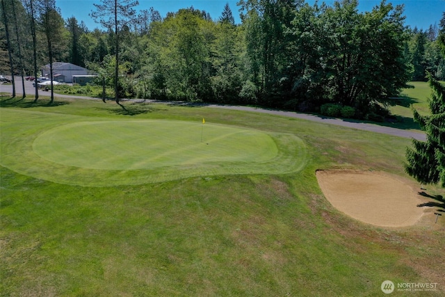180N Mount Christie Dr, Hoodsport, WA 98548 - view of community with golf course view, a putting area, and a yard