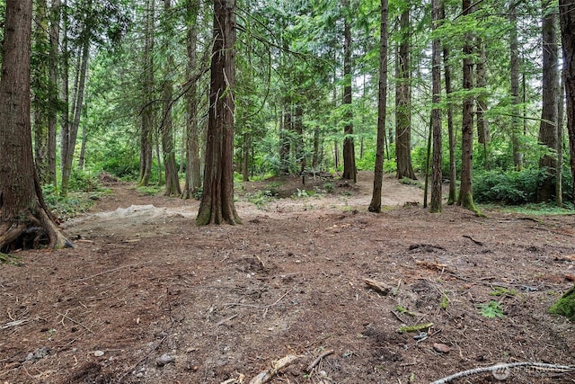 10455 Woodchuck Ln SE, Port Orchard, WA 98367 - view of woods