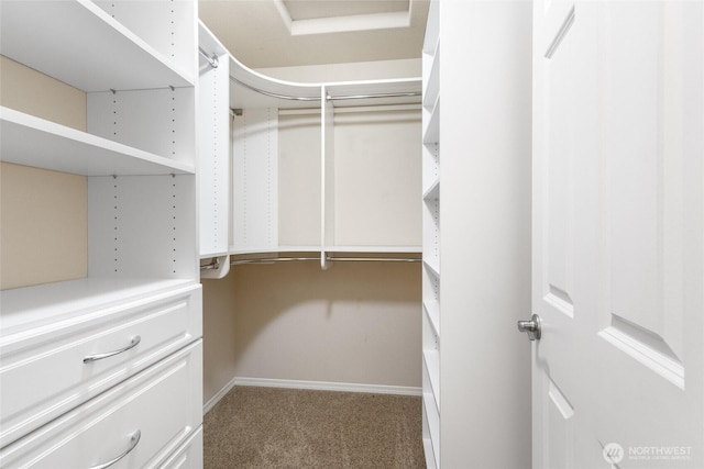 3632 London Loop NE, Lacey, WA 98516 - spacious closet with carpet flooring