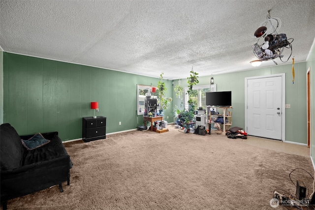 101 N Elm St N, Omak, WA 98841 - living area featuring a textured ceiling and carpet flooring