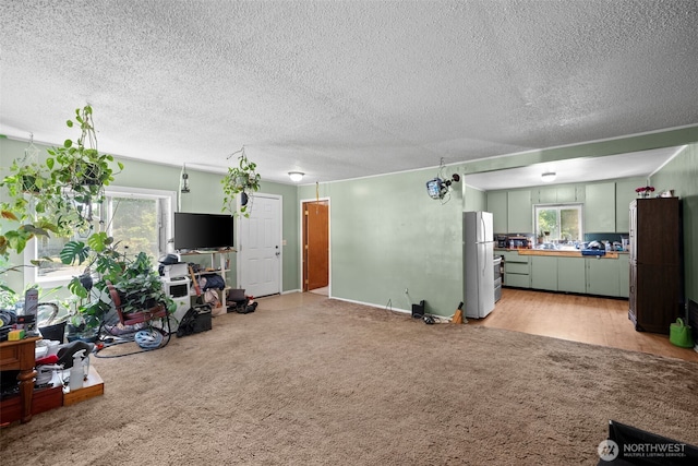 101 N Elm St N, Omak, WA 98841 - living area featuring light colored carpet and a textured ceiling
