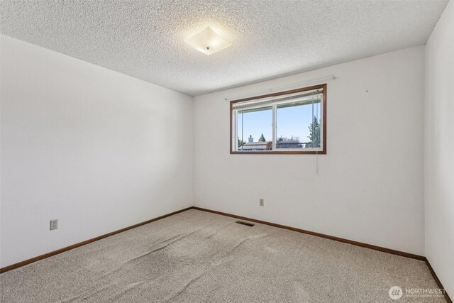 1001 Garden Dr, Lynden, WA 98264 - empty room featuring carpet and a textured ceiling