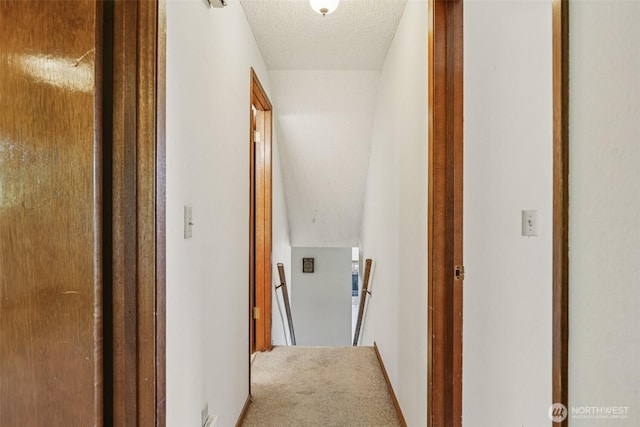 1001 Garden Dr, Lynden, WA 98264 - corridor with an upstairs landing, carpet, and a textured ceiling