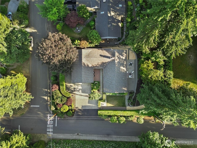 7979 NE 28th St, Medina, WA 98039 - bird's eye view