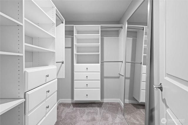 7979 NE 28th St, Medina, WA 98039 - walk in closet with carpet floors