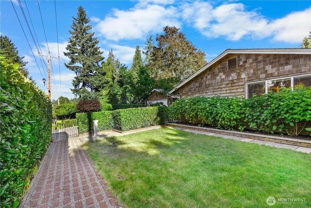 7979 NE 28th St, Medina, WA 98039 - view of yard