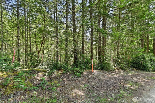 6133 Blue Mountain Ln NW, Seabeck, WA 98380 - photo 8