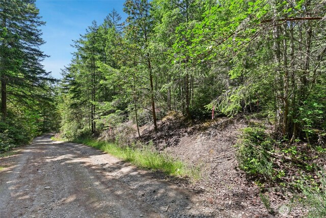 6133 Blue Mountain Ln NW, Seabeck, WA 98380 - photo 9