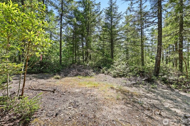 6133 Blue Mountain Ln NW, Seabeck, WA 98380 - photo 12