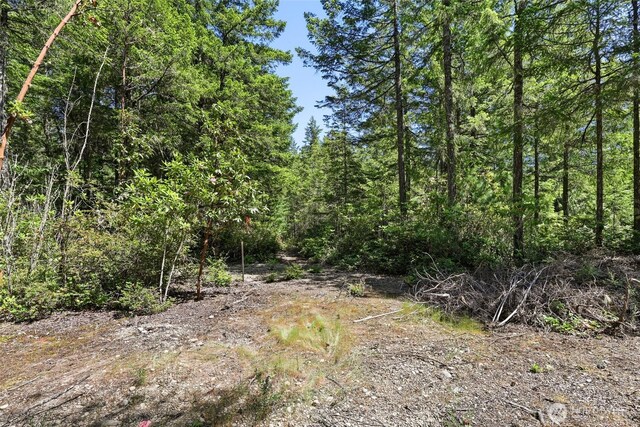 6133 Blue Mountain Ln NW, Seabeck, WA 98380 - photo 13