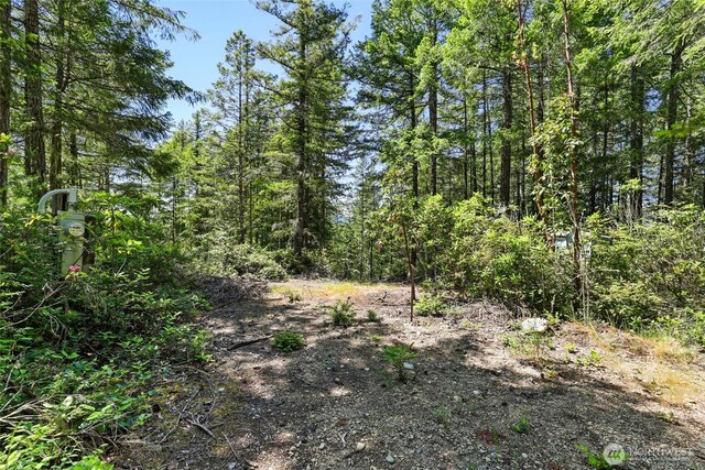 6133 Blue Mountain Ln NW, Seabeck, WA 98380 - photo 14