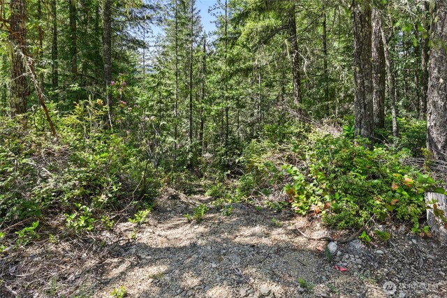 6133 Blue Mountain Ln NW, Seabeck, WA 98380 - photo 15