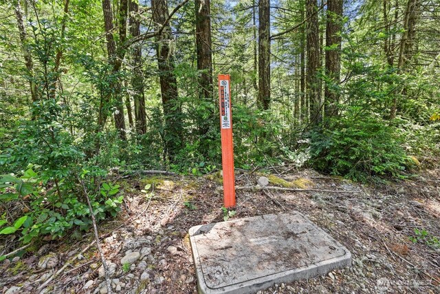 6133 Blue Mountain Ln NW, Seabeck, WA 98380 - photo 18
